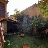 Jardín antes del mantenimiento