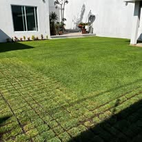 Instalación y cuidado de césped